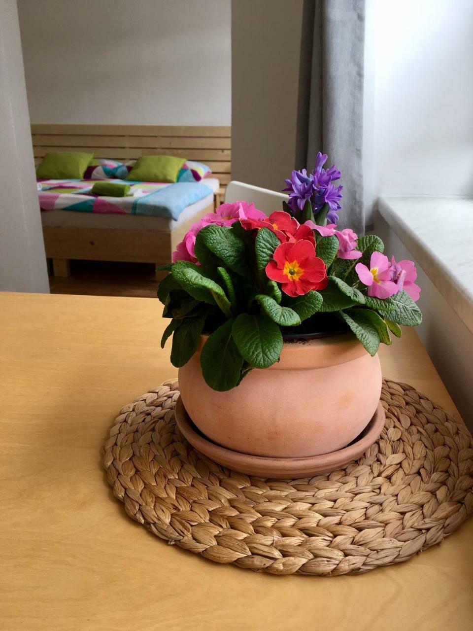 Apartmany A Ubytovani Mlynice ลิโตเวล ภายนอก รูปภาพ